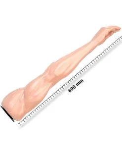 DEEP'R Bras à Fist DeepR Mega Muscle Fist 65 X 13.5 Cm Flesh 6 DEEP'R Bras à Fist DeepR Mega Muscle Fist 65 X 13.5 Cm Flesh -Sextoys boutique bras a fist deepr mega muscle fist 65 x 135 cm flesh 2