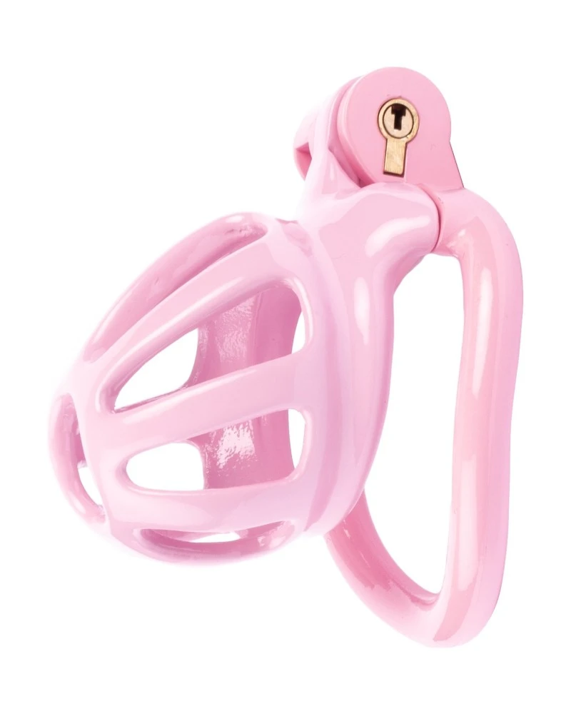Cocklock Cage De Chasteté Netty S 5 X 3.4cm Rose 1 Cocklock Cage De Chasteté Netty S 5 X 3.4cm Rose