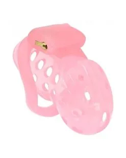 La Boutique Du Hard Cage De Chasteté XGuard 10 X 3cm Rose