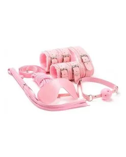 La Boutique Du Hard Coffret BDSM 7 Pièces WICKED Rose