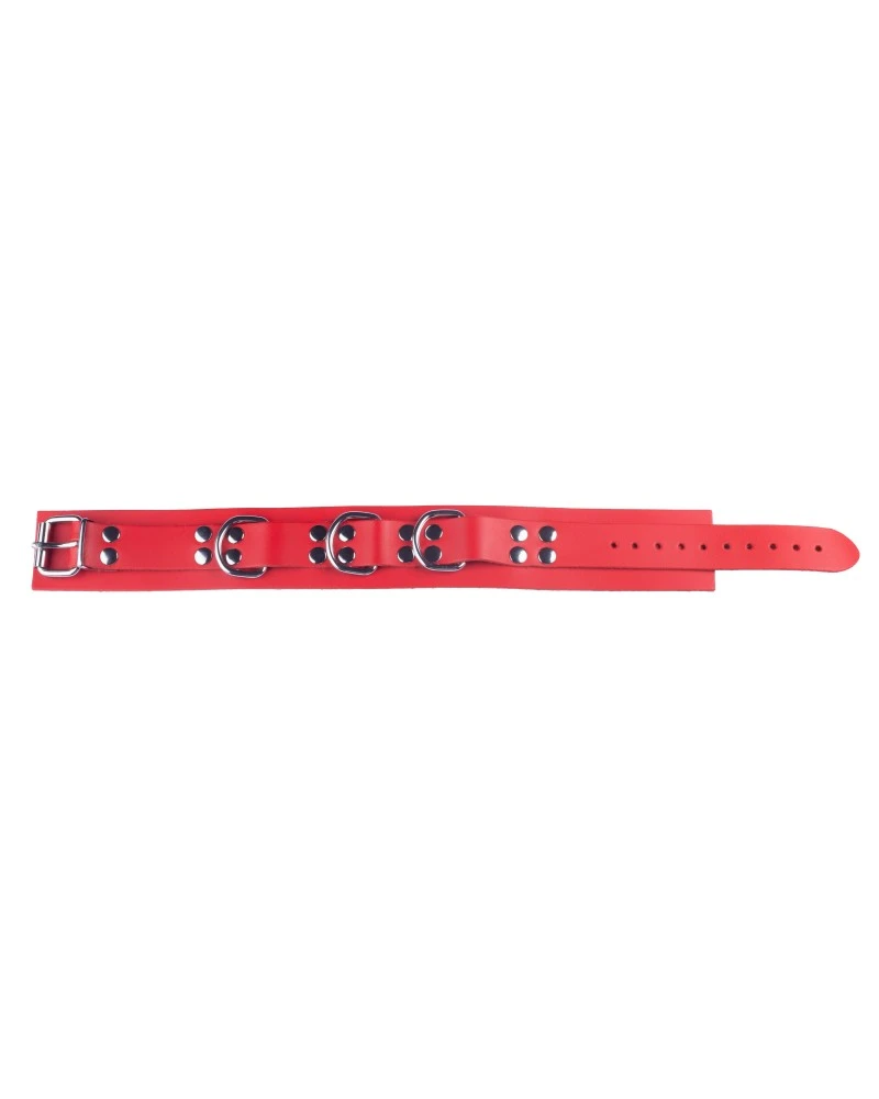 The Red Collier En Cuir Ultra Rouge 4 The Red Collier En Cuir Ultra Rouge – Image 4