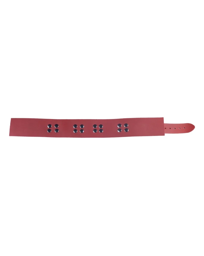 The Red Collier En Cuir Ultra Rouge 5 The Red Collier En Cuir Ultra Rouge – Image 5