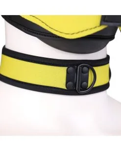 Kinky Puppy Collier En Néoprène Jaune 6 Kinky Puppy Collier En Néoprène Jaune -Sextoys boutique collier en neoprene jaune 2