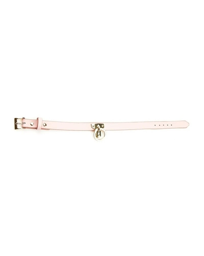 La Boutique Du Hard Collier Et Laisse Sclave Rose 3 La Boutique Du Hard Collier Et Laisse Sclave Rose – Image 3