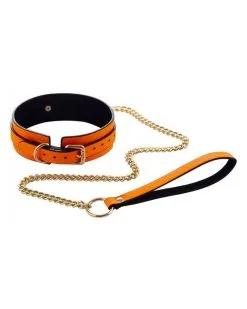 Generique Collier-Laisse Phosphorescent Luminous Orange