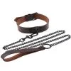 Generique Collier-Laisse Punk Marron