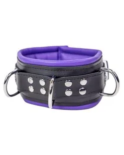 The Red Collier Rembourré En Cuir 3 Anneaux D Violet -Sextoys boutique collier rembourre en cuir 3 anneaux d violet 4