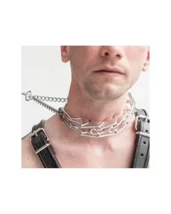 Mr. B Collier Torquator Chrome