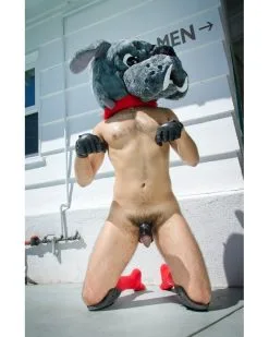 Oxballs Cône Pour Les Bourses Cone Of Shame -Sextoys boutique cone pour les bourses cone of shame 4