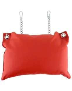 Mr. Sling Coussin En Cuir 20 X 25cm + ChaÓnes Rouge