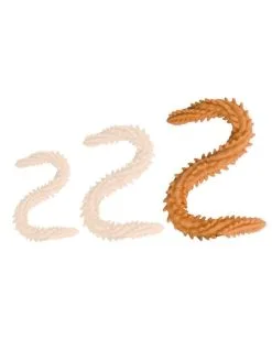 DoublePlayz Double Gode Scolop L 60 X 5cm Orange