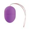 Shots Toys Oeuf Vibrant Sans Fil Egg 5 X 3.4 Cm Violet