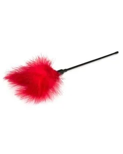 Easytoys Fetish Collection Plumeau Fancy Thrill 43cm Rouge -Sextoys boutique plumeau fancy thrill 43cm rouge 2