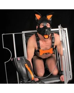 The Red PUPPY OS EN CUIR ORANGE 6 The Red PUPPY OS EN CUIR ORANGE -Sextoys boutique puppy os en cuir orange 1