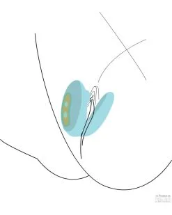 Xocoon Stimulateur De Clitoris ForePlay Vert -Sextoys boutique stimulateur de clitoris foreplay vert 7