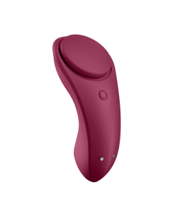 Stimulateur De Clitoris Sexy Secret - Panty Vibrator Satisfyer
